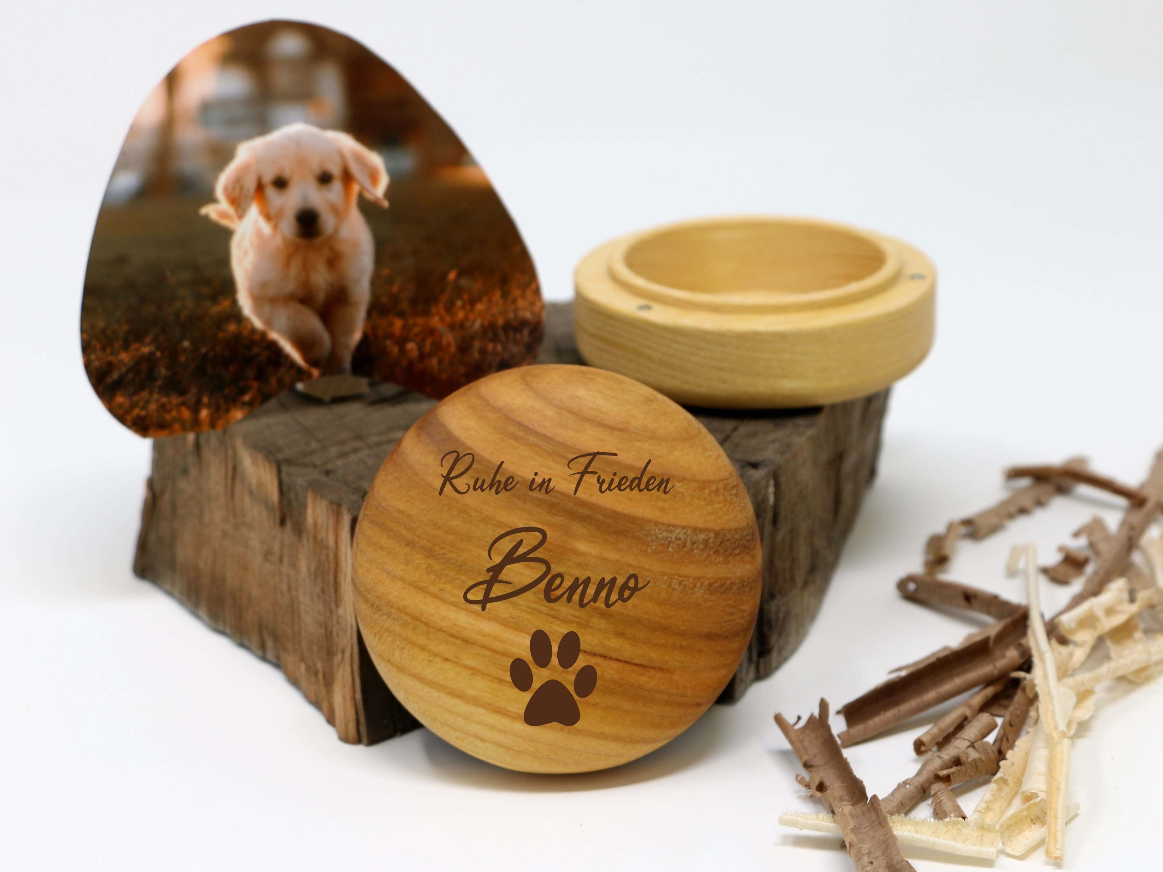 DABAIXIONG 3D Eichhörnchen Figur - Realistische Tier Skulptur Für Regal Und Schreibtisch